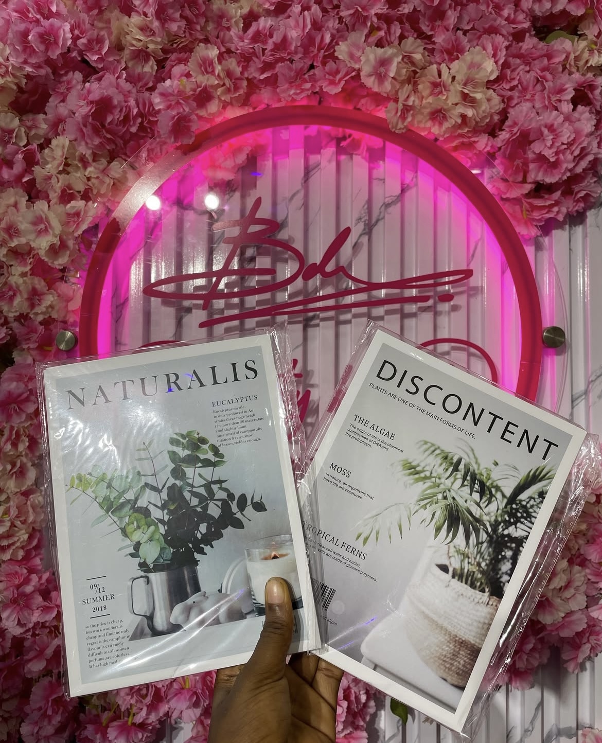 Picture props - Image 2