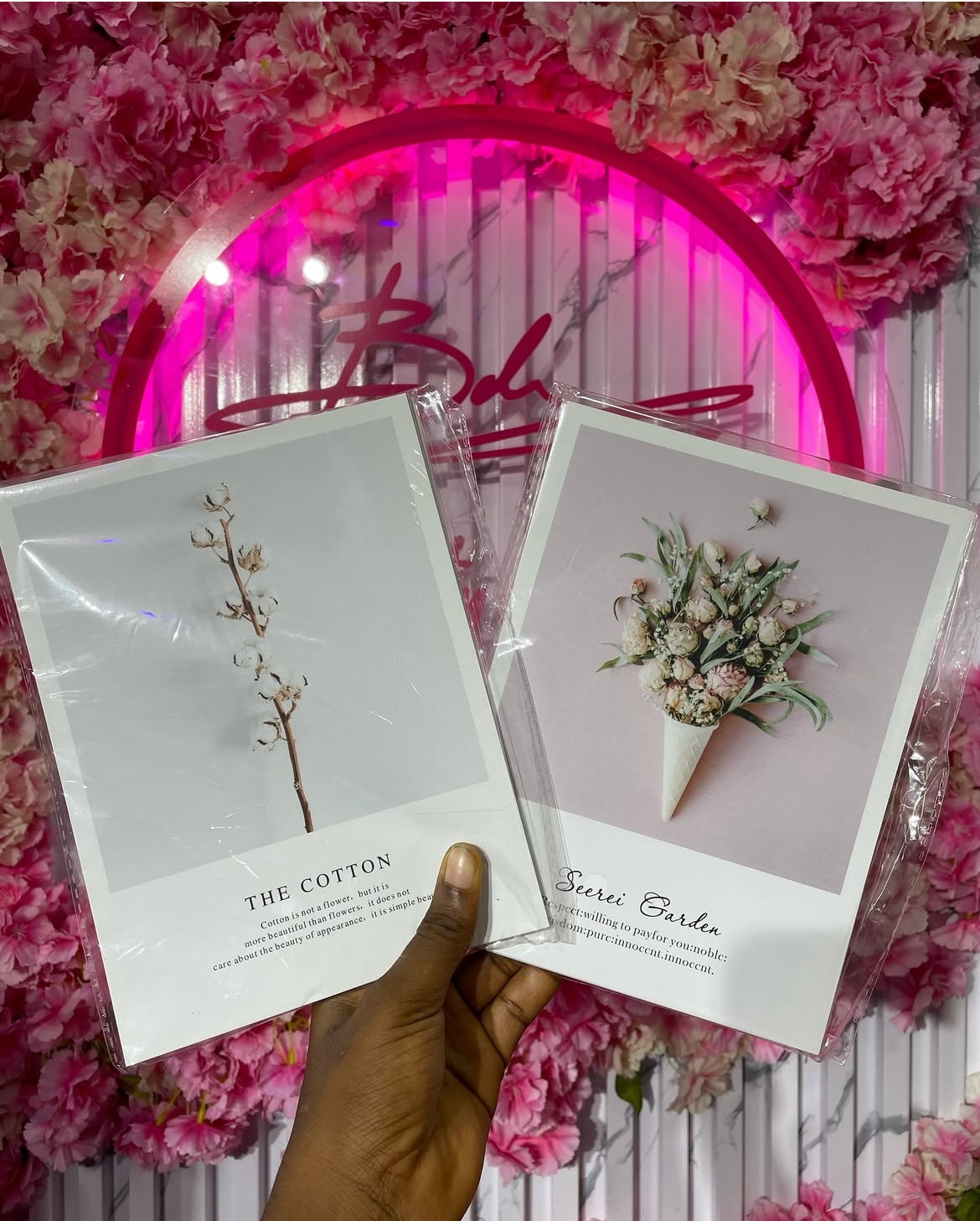 Picture props - Image 3