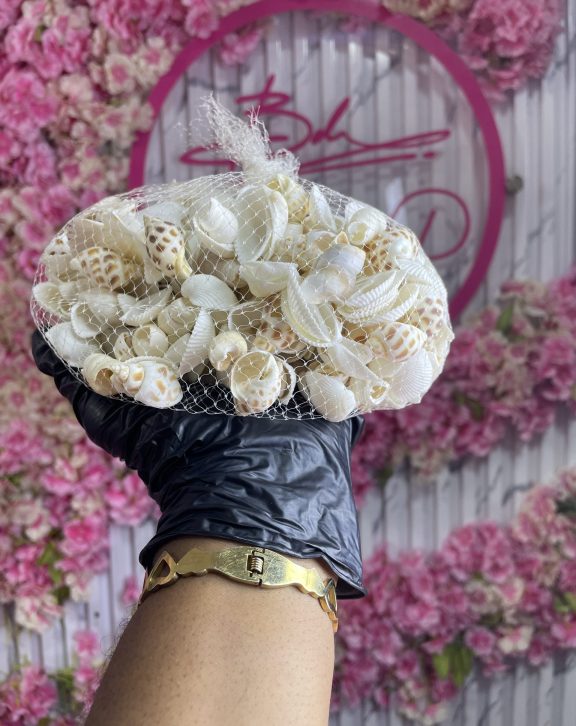 Snail shell and sea shell