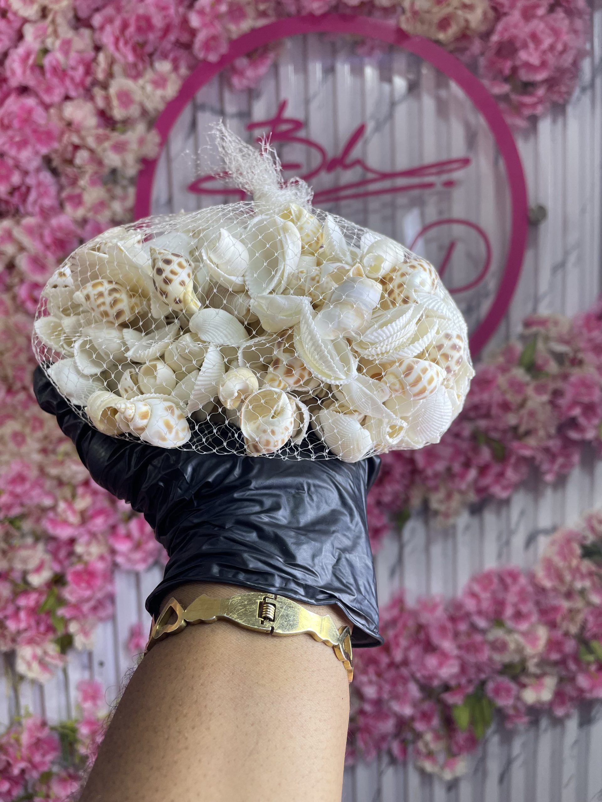 Snail shell and sea shell